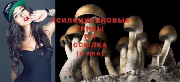 героин Алзамай