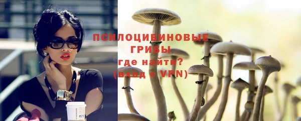 СК Алексеевка