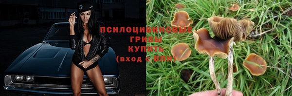 СК Алексеевка