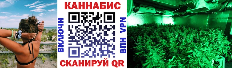 Купить закладки  Гулькевичи  Конопля план 